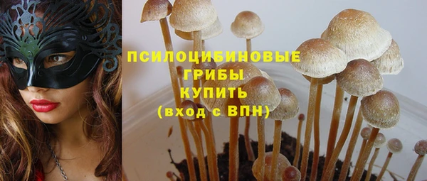 спиды Армянск