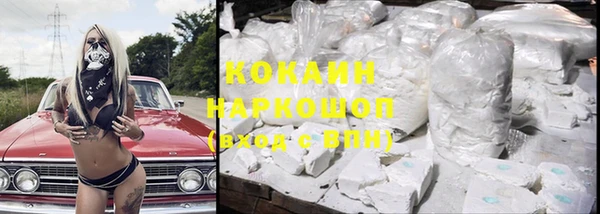 дмт Бородино