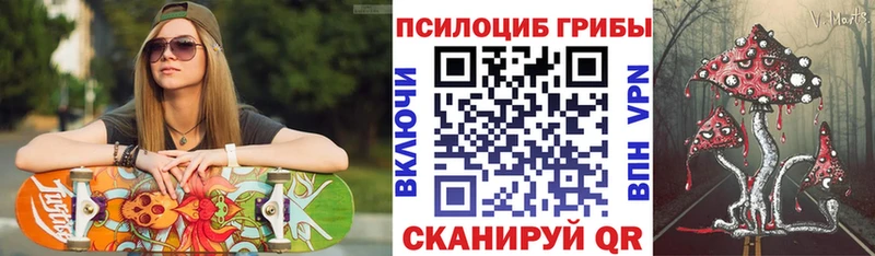 Галлюциногенные грибы Psilocybe Гвардейск