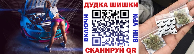 Бошки марихуана планчик  где купить наркотик  Гвардейск 